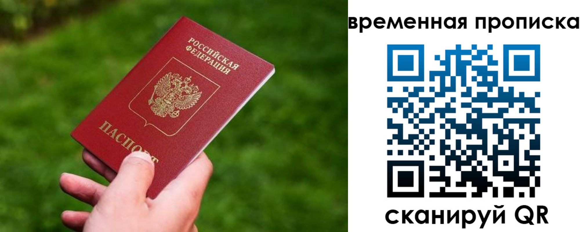 прописка ребенка в Кировске